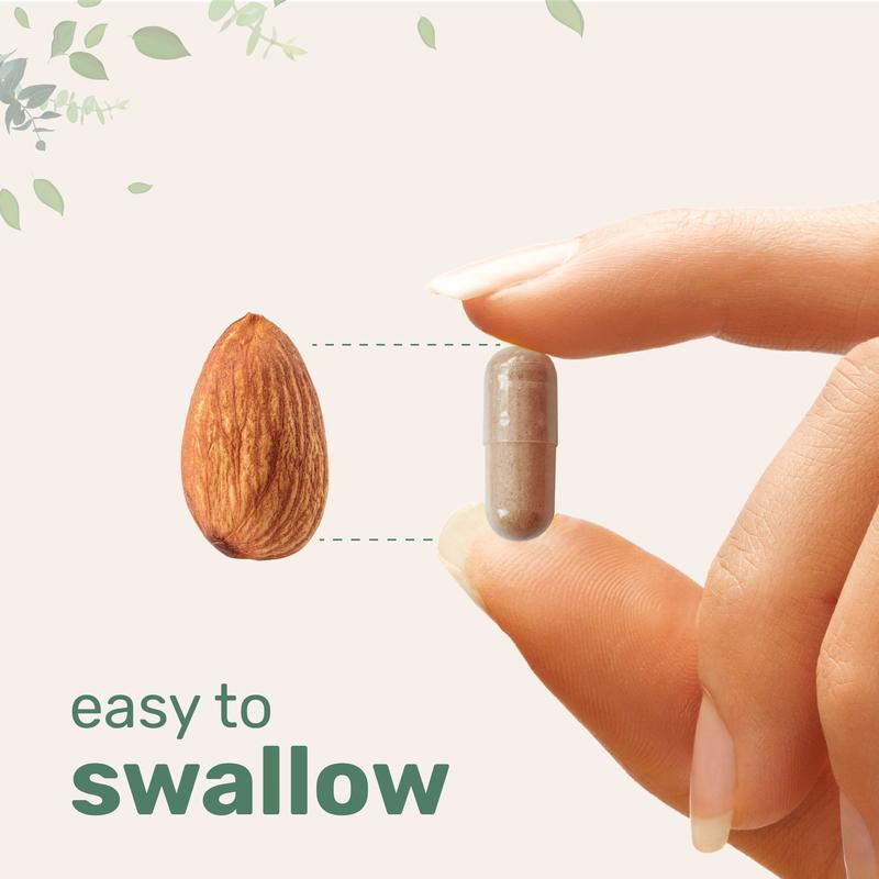 Micro Ingredients Liposomal NAD+ Ultimate 1,000Mg, 60 Veggie Capsules